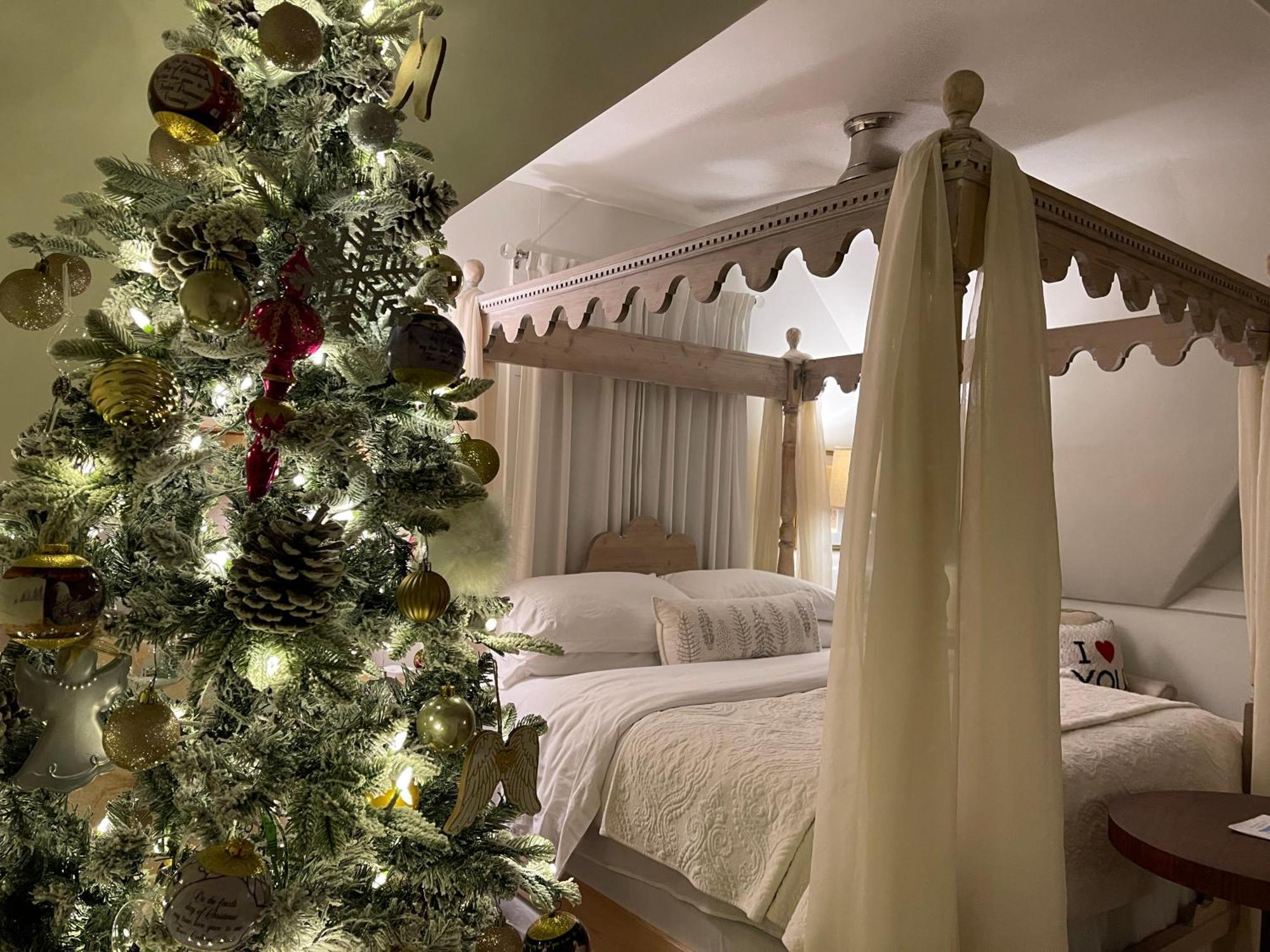 Chesnut Cottage Inn Bed & Breakfast Колумбия Экстерьер фото